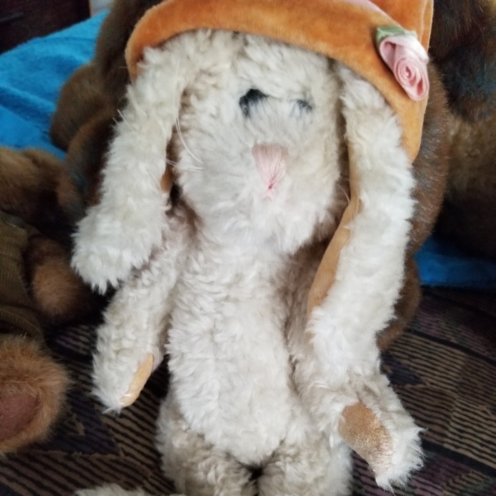 Bunny